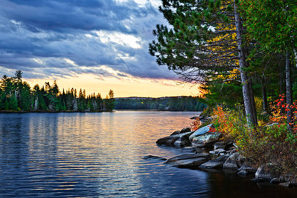 Dramatic sunset at lake Dramatic sunset and pines at Lake of Two Rivers in Algonquin Park, Ontario, Canada north stock pictures, royalty-free photos & images