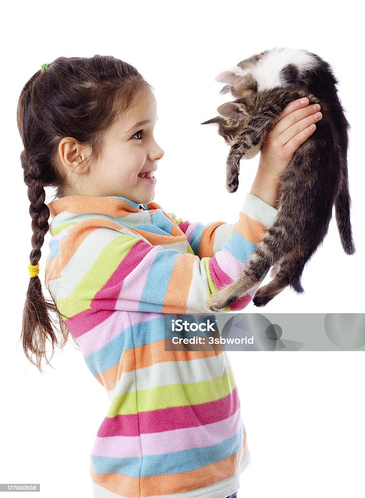 Menina feliz é levantado dois Filhote de Gato - Royalty-free Gato domesticado Foto de stock