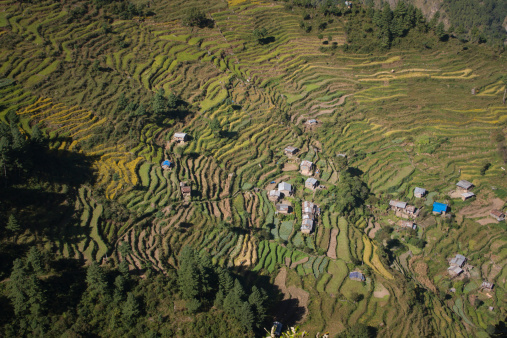 Aerial view of small village with terrace farming in Nepal. The majority of the population in Nepal depend on Agriculture as an occupation.