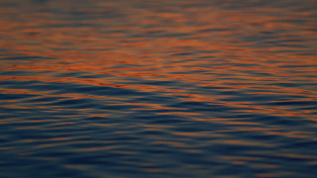 Golden Sea At Sunset. Reflection And Ripples On Sea Water Surface At Sunset. Close up.
