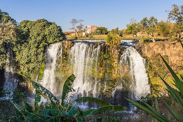 catarata de lírio - ampefy imagens e fotografias de stock