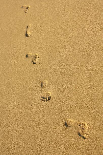 istock Footprint in the sand 177001405