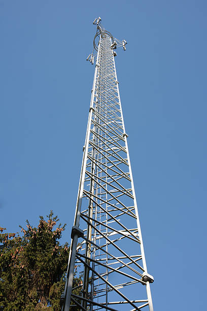 istock Communications tower in the forest with a blue sky 177001552