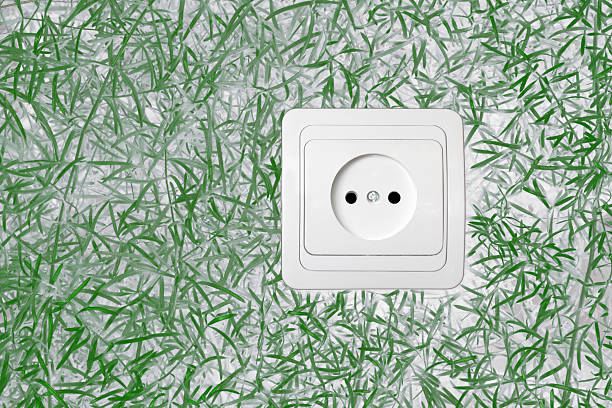 istock electric power receptacle on a green grass background 177001714