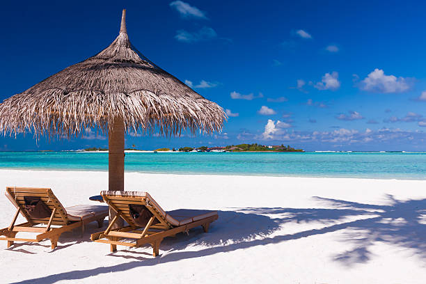 istock Chairs and umbrella on a beach with palm tree shadow 177001816