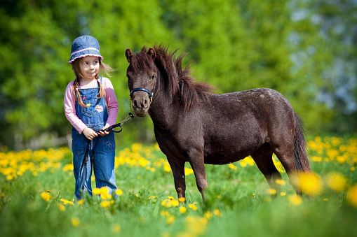 Child and small horse in the field at spring.