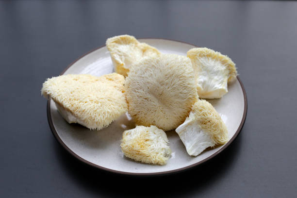 istock Fresh lion's mane mushroom. (Yamabushitake Mushroom) 1770021056
