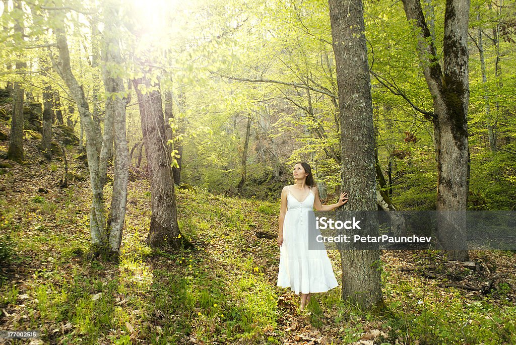Волшебный лес - Стоковые фото Белый роялти-фри