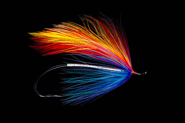 Winters Hope Salmon Fly A spey-style salmon fly for salmon and stealhead fishing. fly fishing scotland stock pictures, royalty-free photos & images