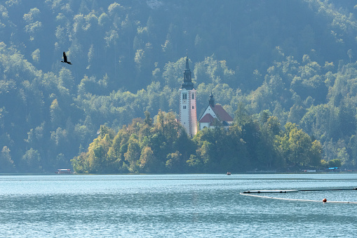 Images of Lake Bled taken from the Bankside.