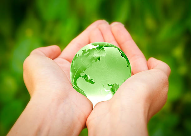 istock Two hands holding a small green globe against green backdrop 177005034