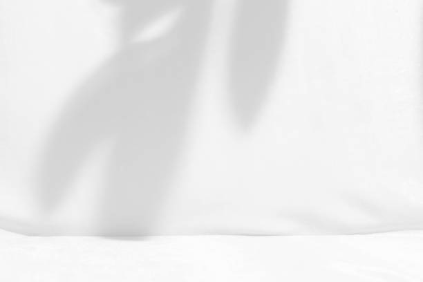 istock shadow of leaves on white fabric 1770055980