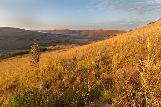 высокогорье мпумаланга спуститесь - dullstroom стоковые фото и изображения