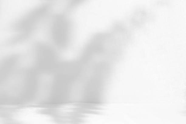 istock shadow of leaves on white fabric 1770057021