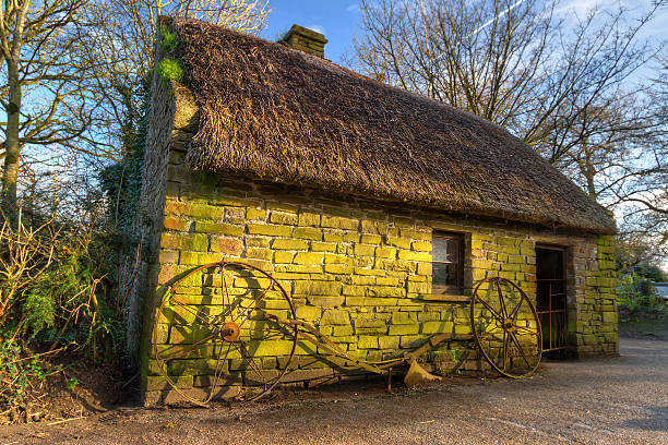 vecchio cottage house - republic of ireland irish culture cottage door foto e immagini stock