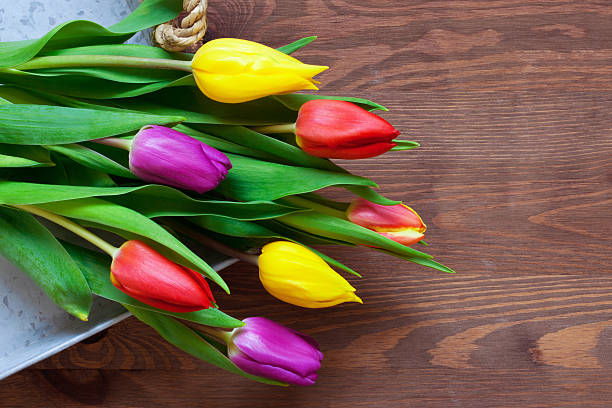 istock Tulips on a rustic wooden background 177006944