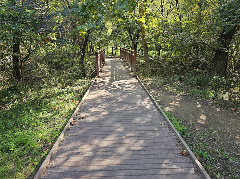 natural ecological park trails