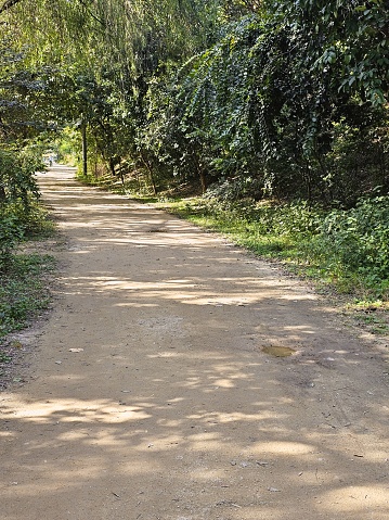 Ecological Park Trail