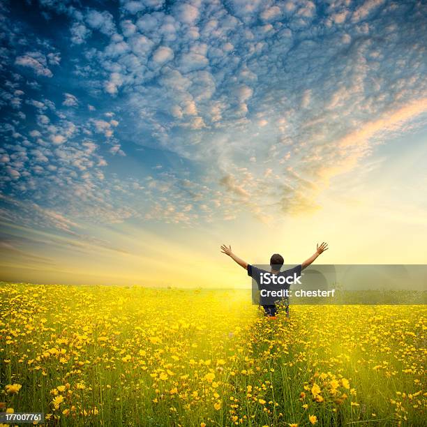 Hombre De Pie En Un Campo De Flores Amarillas Foto de stock y más banco de imágenes de Flor - Flor, Hombres, Amarillo - Color