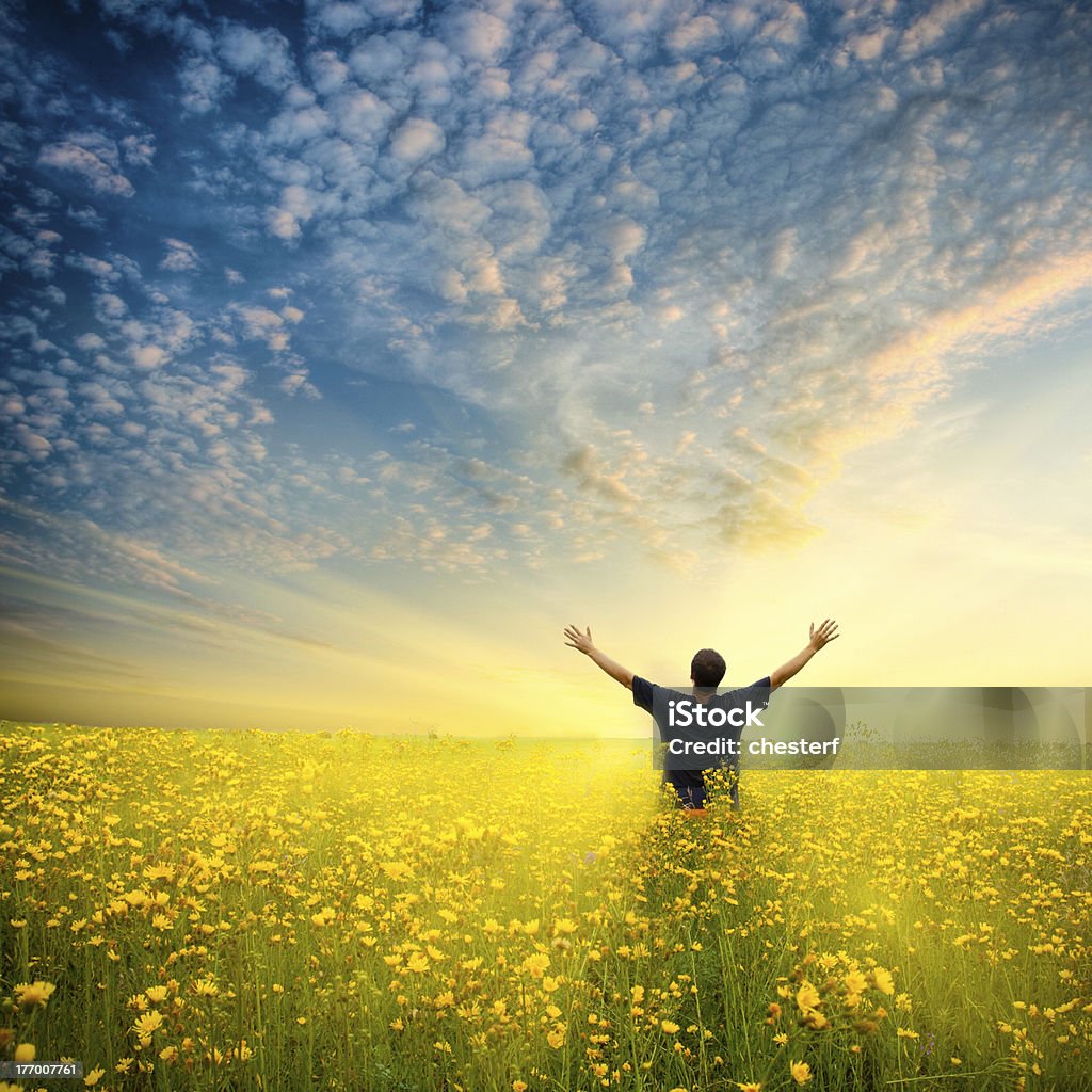 Man standing in field of yellow flowers man in yellow flower  field under beautiful sky Flower Stock Photo