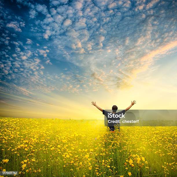 Man Standing In Field Of Yellow Flowers Stock Photo - Download Image Now - Flower, Men, Sunset