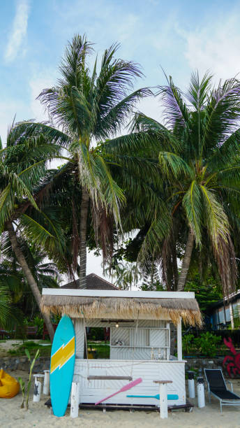 istock Empty beach against clear blue sky. Beach chairs side by side on sandy ocean front with view over blue sea. Beach chairs or loungers with palm trees and blue sky. Summer island travel and vacation scenic. 1770079040