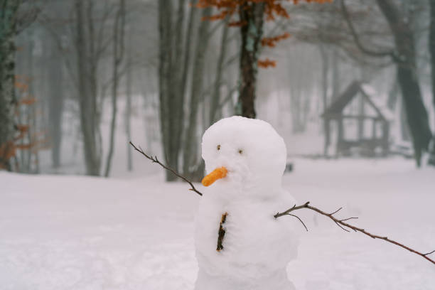 istock Snowman with twigs-hands stands near a tree in a snowy forest 1770085108