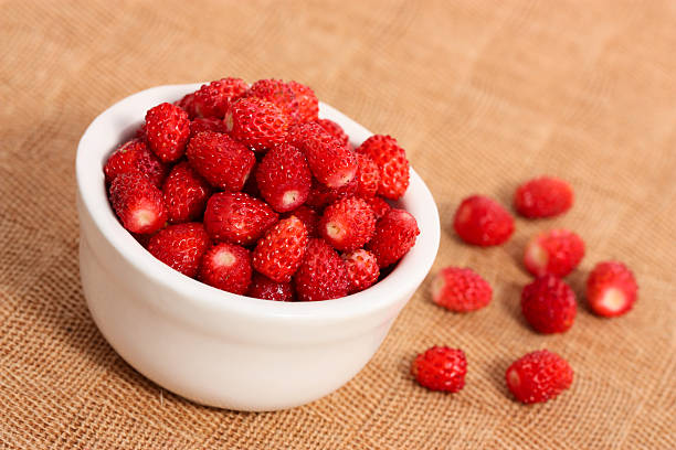 istock Wild Strawberry in Bowl 177009197