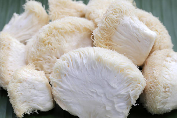 istock Fresh lion's mane mushroom on banana leaf. (Yamabushitake Mushroom) 1770092531