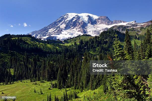 Punto Di Paradiso - Fotografie stock e altre immagini di Stato di Washington - Stato di Washington, Ambientazione esterna, Contea di Pierce