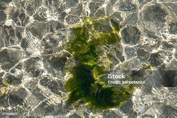 Water Stock Photo - Download Image Now - At The Bottom Of, Backgrounds, Blurred Motion