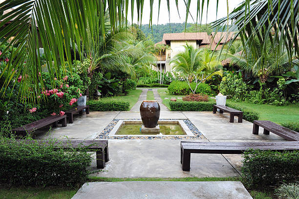 열대 정원 - formal garden garden path bench flower 뉴스 사진 이미지