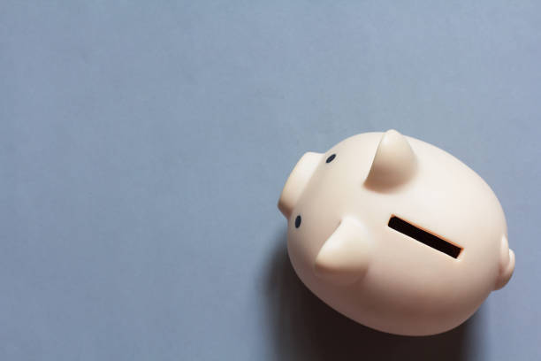 istock piggy bank on grey background 1770101122
