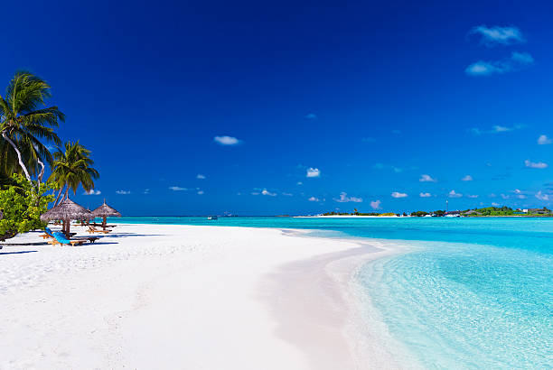 palmiers sur le lagon et la plage de sable blanc - maldives photos et images de collection