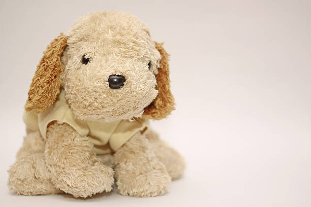 istock friendly and cheerful dog doll 177010956