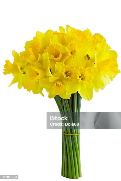 Narciso Bouquet - Fotografie stock e altre immagini di Narciso - Liliacee - Narciso - Liliacee, Mazzo, Mazzo di fiori