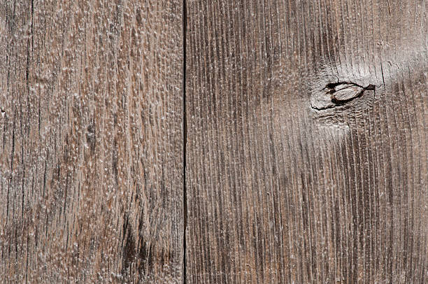 Wooden Fence Background stock photo