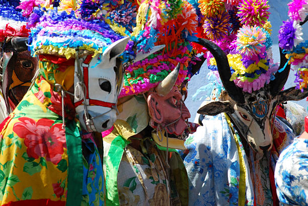 carnaval máscaras no méxico - veracruz imagens e fotografias de stock