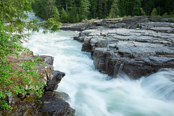 istock Avalanche Creek in Glacier National Park, Montana 177011526