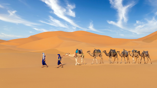 Sahara Desert, Morocco - 13 September 2022: Two Berber men leading a camel caravan across sand dunes