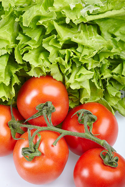 tomatoes with lettuce stock photo