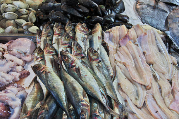 istock Fish in Mercado Central, Central market in Santiago, Chile 1770127314
