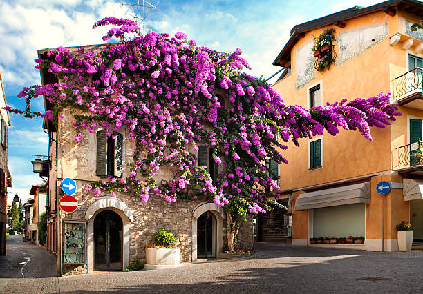 Center Sirmione Center Sirmione. Facade of house twined about a lilac bush italian lake district photos stock pictures, royalty-free photos & images
