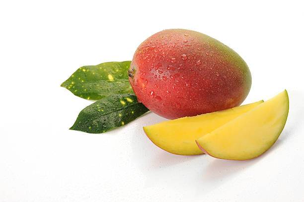 mango – zdjęcie