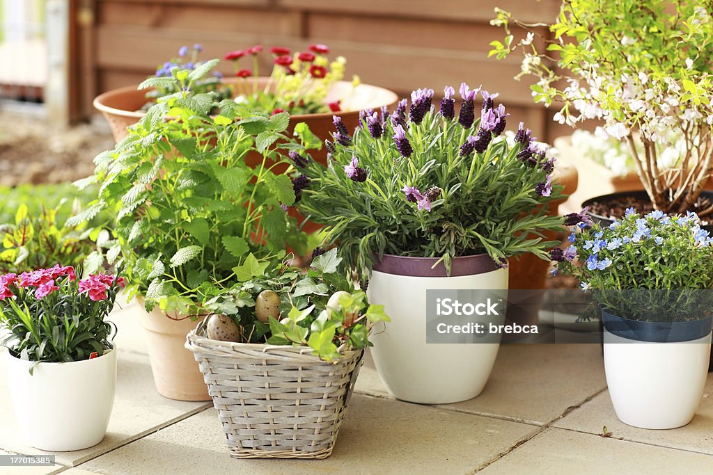 Many different sized flower pots with assortment of flowers Outdoor flower pots for small garden, patio or terrace Flower Pot Stock Photo