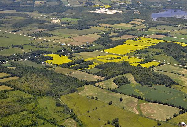 istock farmland aerial 177015464
