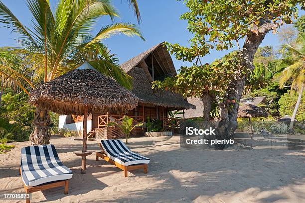Deck Chairs Under Umbrella Stock Photo - Download Image Now - Beach, Chair, Coastline