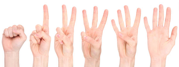 istock Hand Counting Collection - XXXLarge 177016000