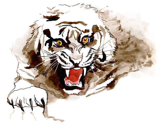 Tiger Stock Illustration - Download Image Now - Roaring, Tiger, Aggression  - iStock