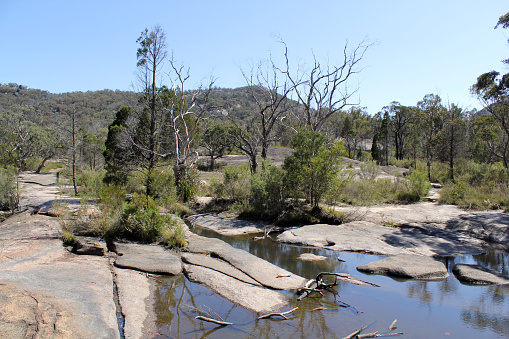 Creek of water, rocks, trees and plants at Girraween National Park in Queensland, Australia